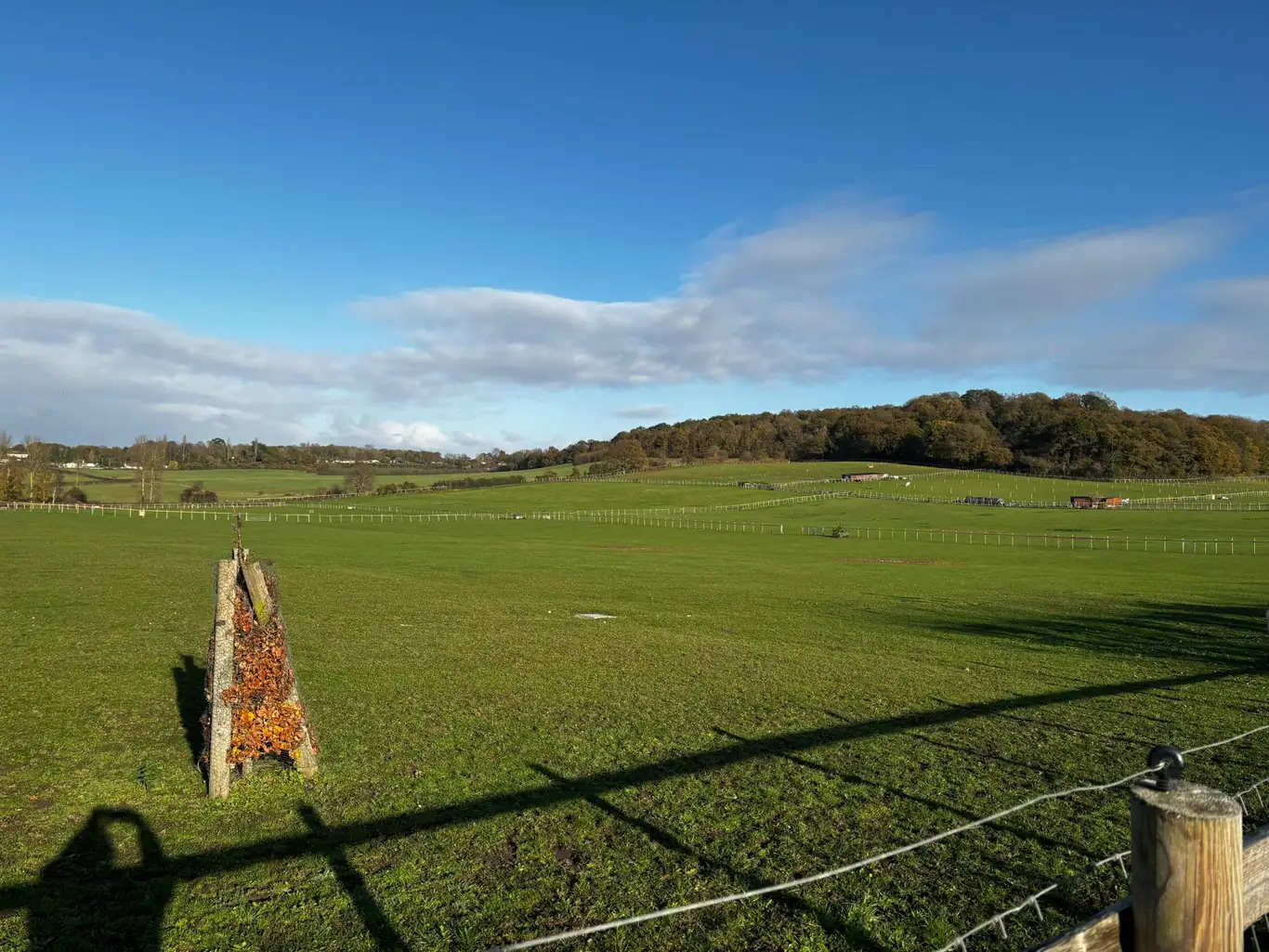 Horse Stables